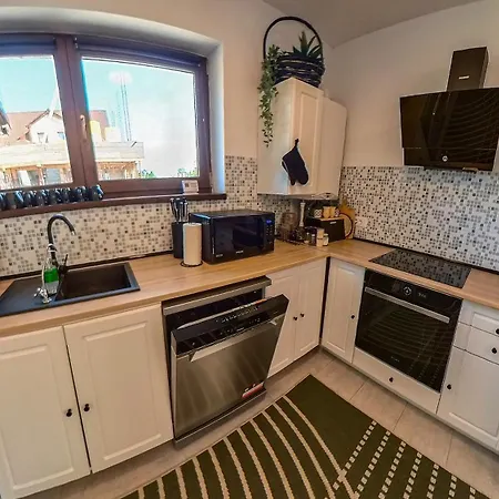 Jungle Family Near Park Aventura,lake,zoo Brasov