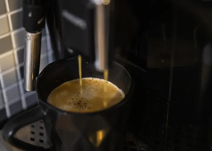 Jungle Family Near Park Aventura,lake,zoo