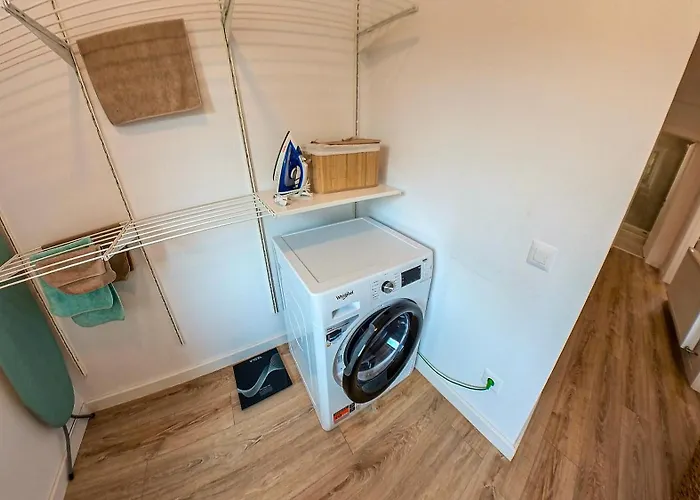 Jungle Family Near Park Aventura,lake,zoo Брашов